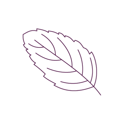 Tulsi